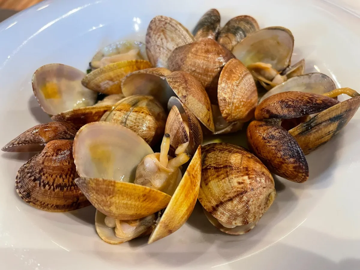 Almejas