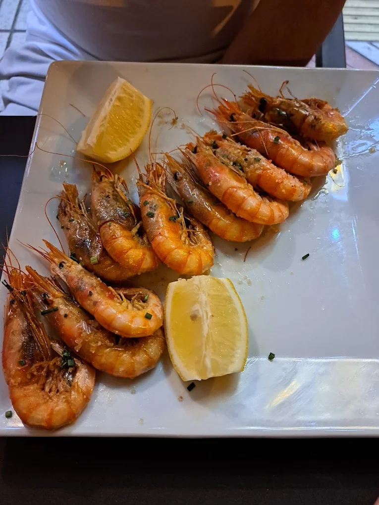 Gamba roja