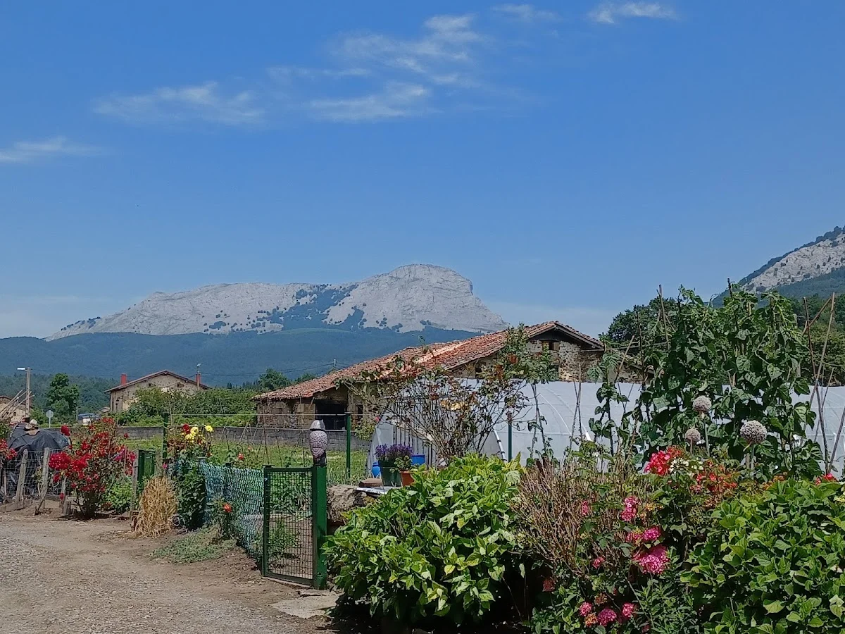 Herriko taberna Olaeta - 6/10 argazkia