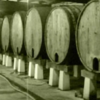 Sarasola